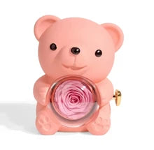 Eternal Rose Teddy Bear Gifts Box with Necklace