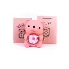 Eternal Rose Teddy Bear Gifts Box with Necklace